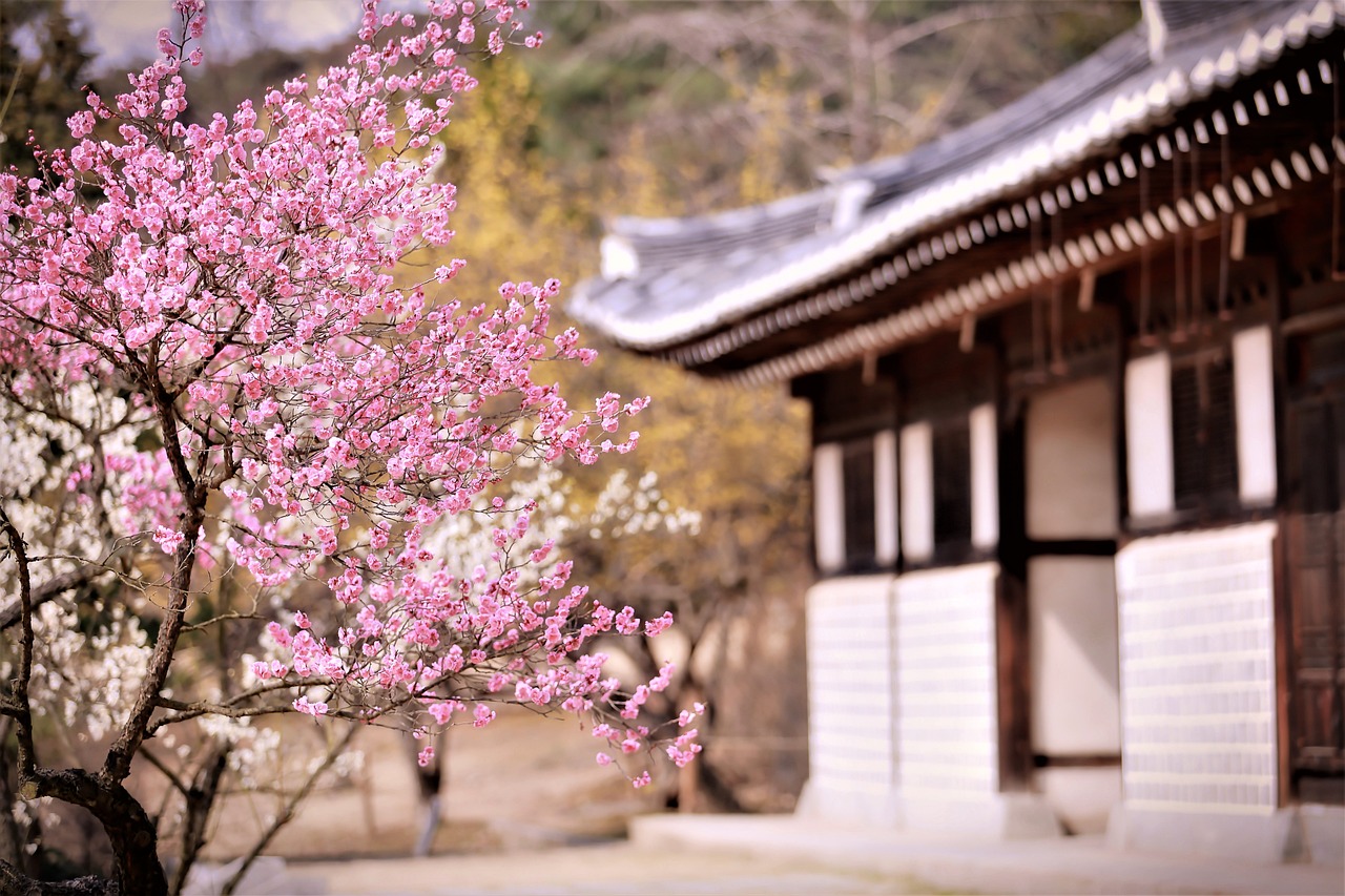 梅花集团股吧深度解析，背景、现状与未来展望探究